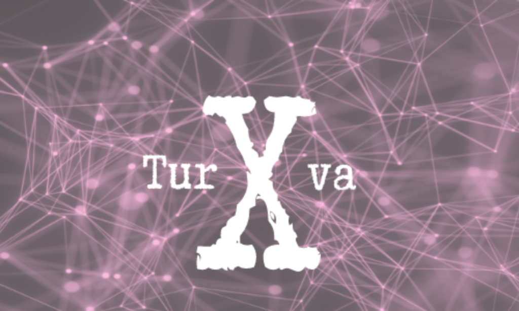 TurvaX -hankkeen logo, vaaleanpunaisen ja mustan värisellä taustalla. Logossa lukee TurvaX 